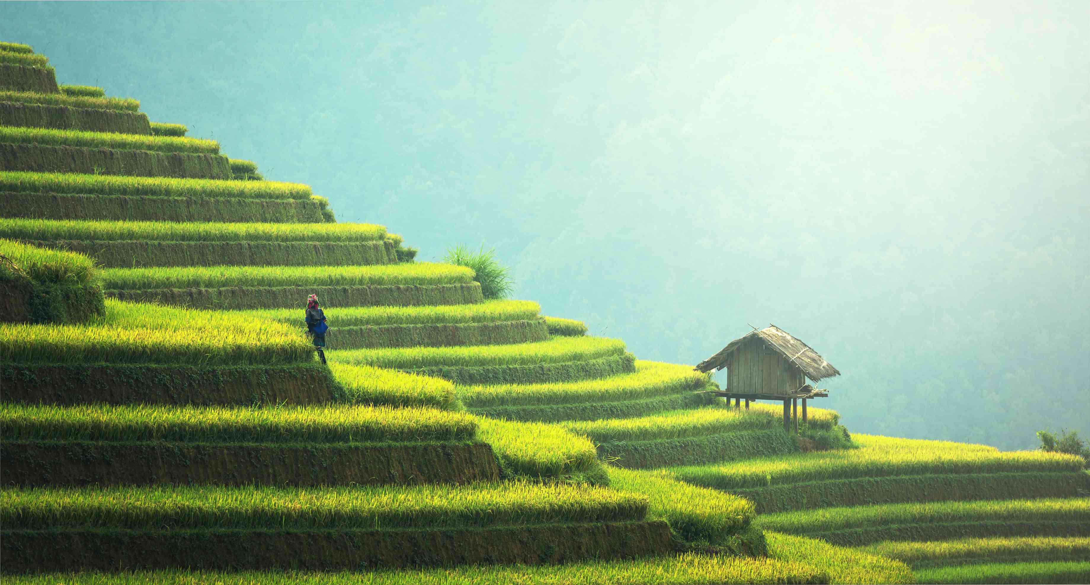 ���28��(�й�ƽ̨)�ٷ���վ